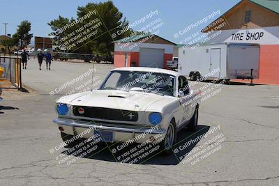 media/May-07-2022-Cobra Owners Club of America (Sat) [[e681d2ddb7]]/Around the Pits/